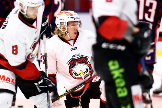 Malmö Redhawks Marcus Sylvegård