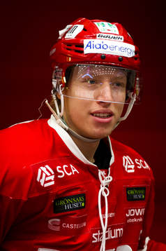 Timrås Vilmos Gallo