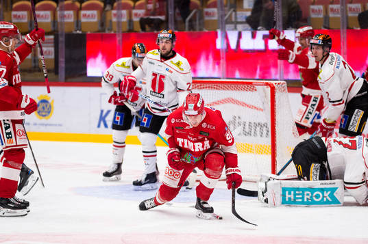 Timrås Filip Hållander jublar