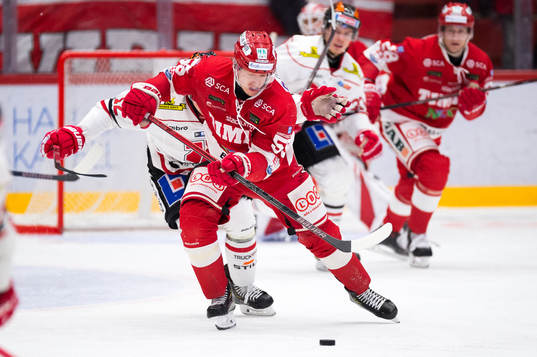 Timrås Vilmos Gallo