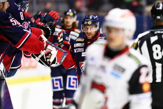Linköpings Derek Roy jublar