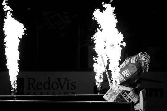 Timrås målvakt Niklas Svedberg gör entre