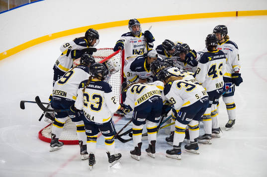 HV71