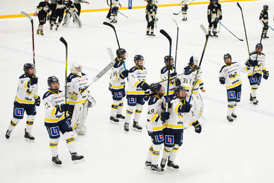 Bläddra bland fler bilder av Ishockey, SDHL, Sde - Hv71