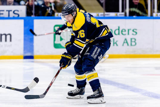s Markus Ljungh