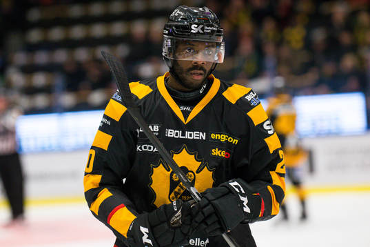 Skellefteås Edwin Hedberg