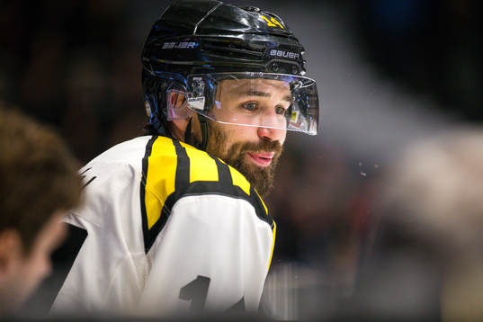 Brynäs Johan Alcén