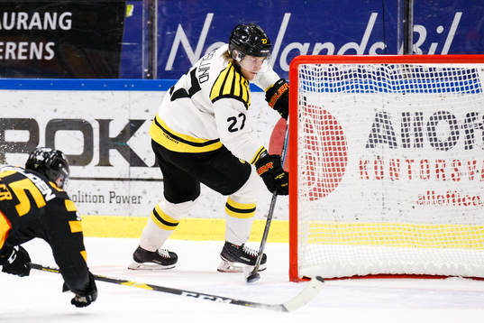 Brynäs Emil Forslund  gör 0-2