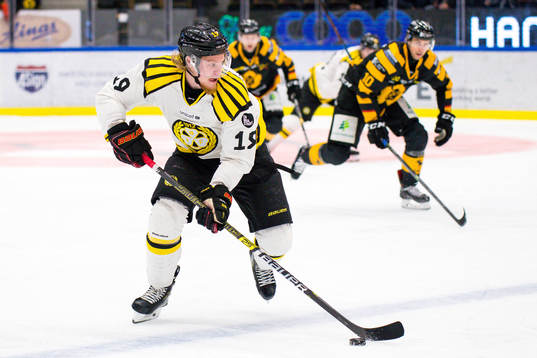 Brynäs Ludvig Nilsson