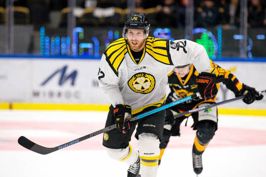Brynäs Joachim Rohdin