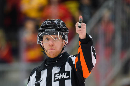 Domare Mikael Holm