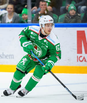 Rögles Leon Bristedt