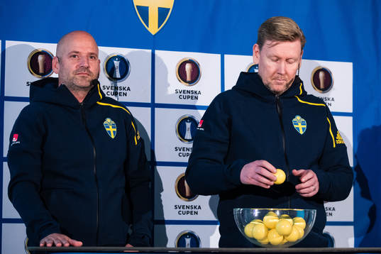 Sveriges assisterande förbundskapter Magnus Wikman och