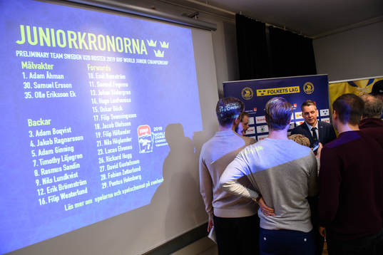 Sveriges förbundskapten Tomas Montén