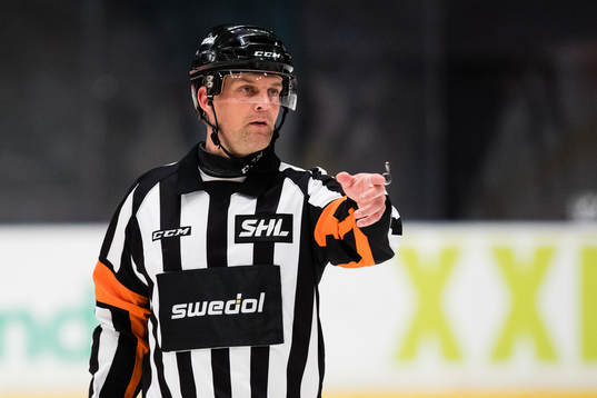 Domare Mikael Nord