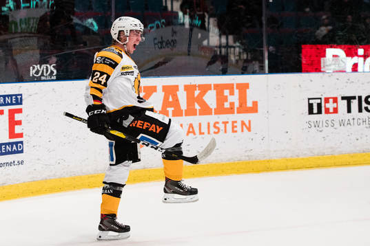 Skellefteås Andreas Wingerli jublar