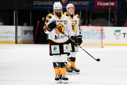 Skellefteås Edwin Hedberg deppar