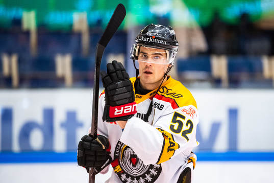 Luleås Karl Fabricius deppar