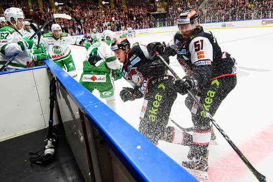 Malmö Redhawks Carl Persson och Emil Sylvegård
