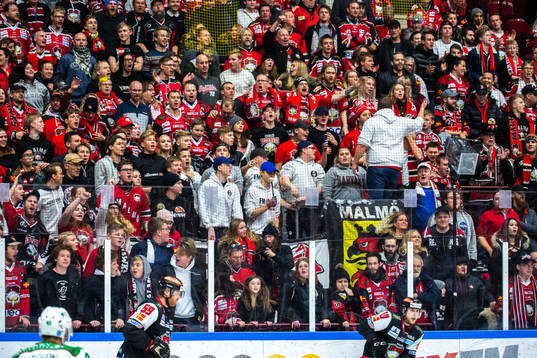 Malmö Redhawks supportrar jublar