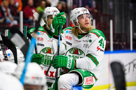 Rögles Olle Liss