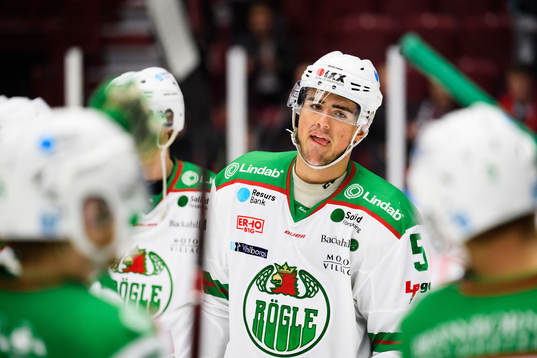 Rögles Alen Bibic deppar