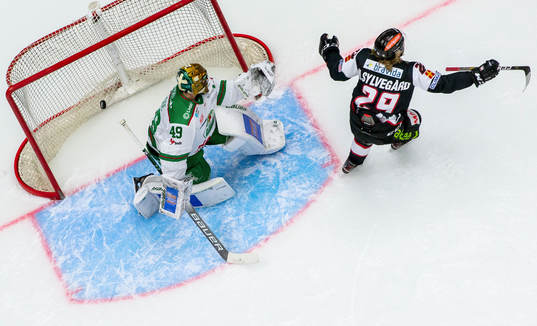 Malmö Redhawks Marcus Sylvegård jublar