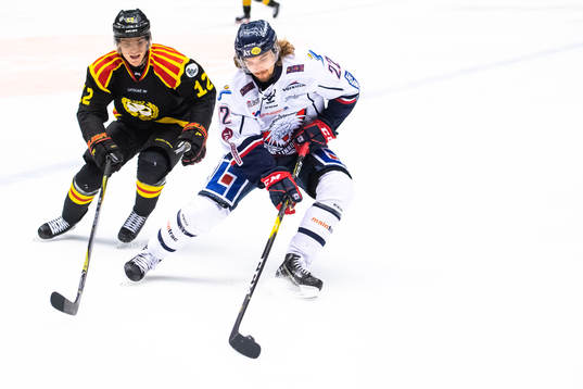 Brynäs Samuel Asklöf och Linköpings Adam Brodecki