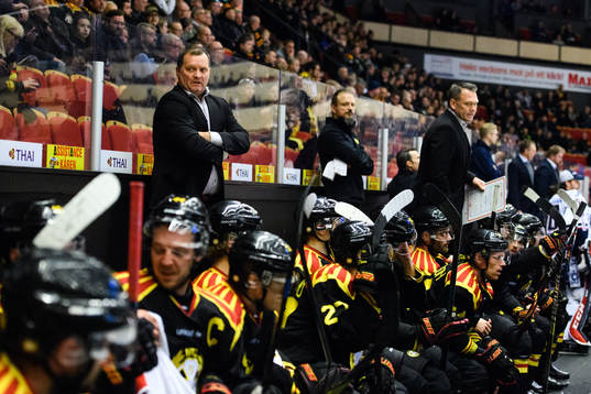 Brynäs tränare Magnus Sundquist