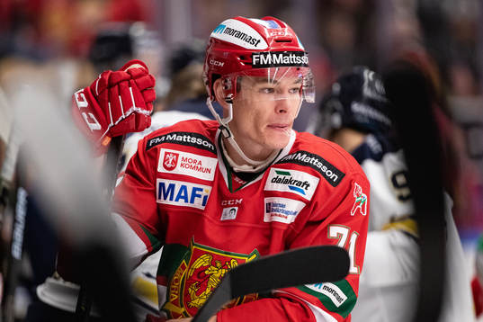 Moras Marek Daloga