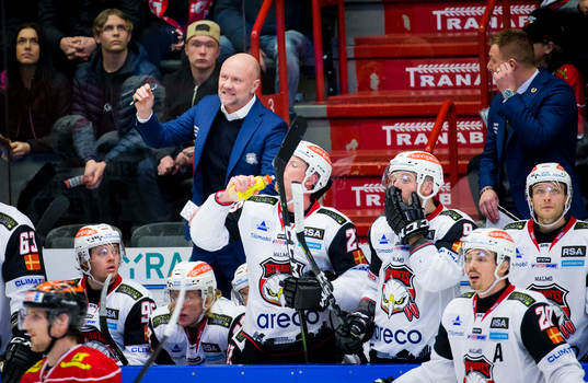 Malmö Redhawks tränare Peter Andersson