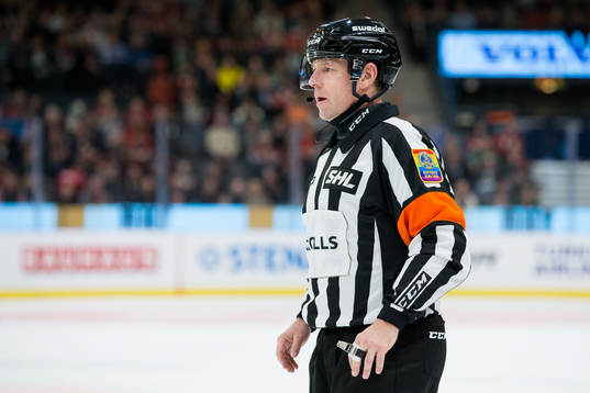 Domare Wolmer Edqvist