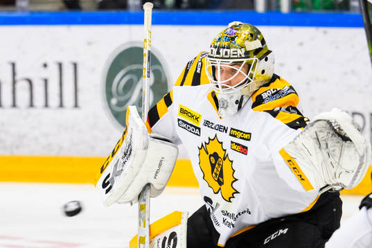 Skellefteås målvakt Mantas Armalis