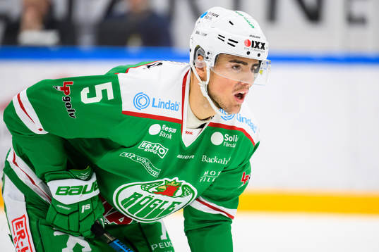 Rögles Alen Bibic