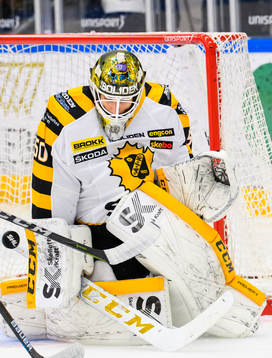 Skellefteås målvakt Mantas Armalis