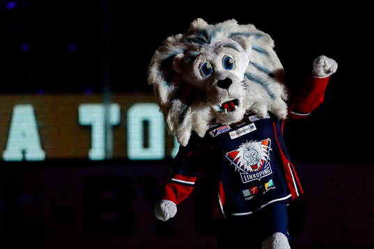 Linköpings maskot Sturer