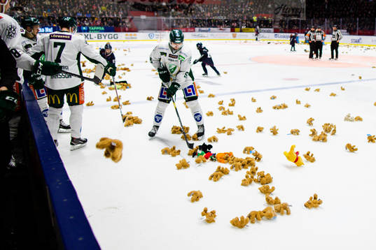 "Teddy bear toss", nallar kastas in på isen