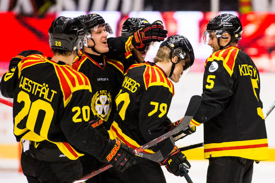 Brynässpelare jublar