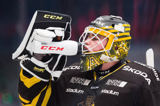 s målvakt Erik Källgren