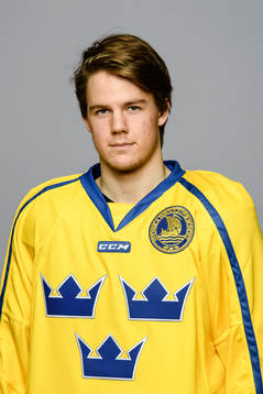 Filip Hållander
