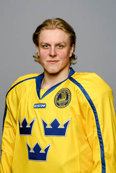 Fabian Zetterlund