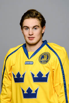 Nils Höglander