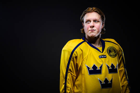 Fabian Zetterlund