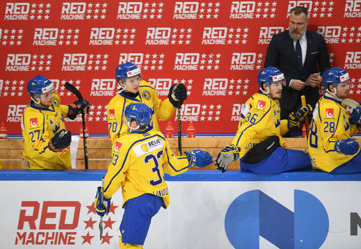 Sweden's Michael Lindqvist celebrates his goal with