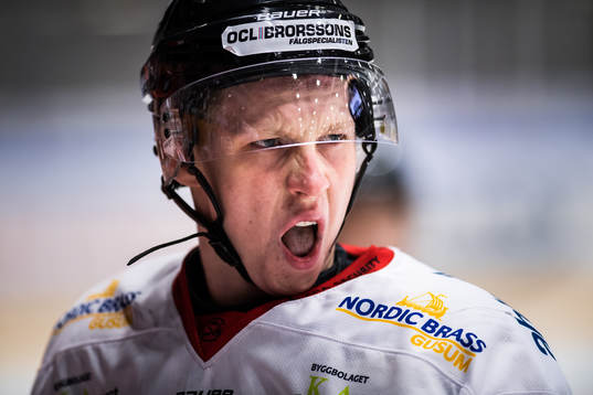 Vita Hästens Simon Krekula  reagerar och deppar