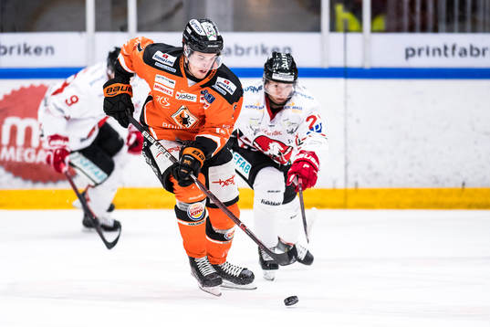 Bläddra bland fler bilder av Ishockey, Hockeyallsvenskan, Karlskrona - Vita Hästen