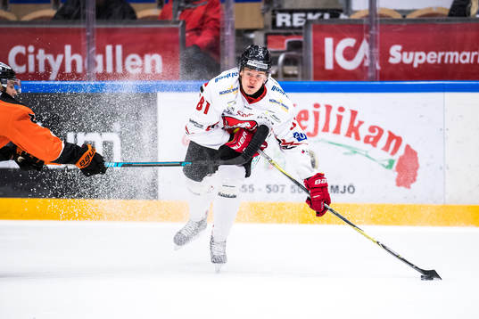 Vita Hästens Erik Borg