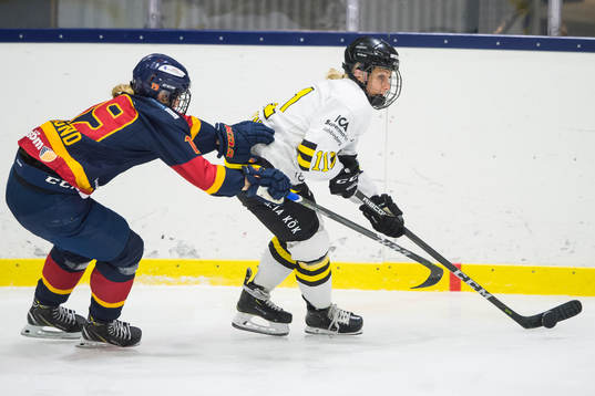Bläddra bland fler bilder av Ishockey, SDHL, Djurgården - AIK