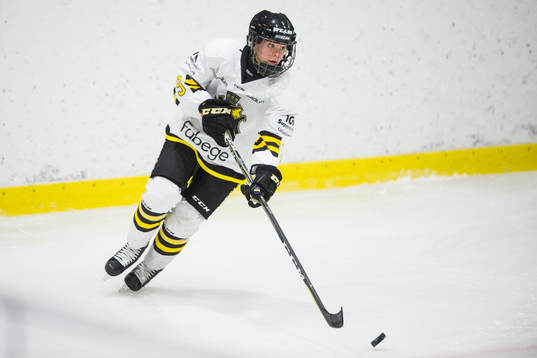 s Linnea Hedin