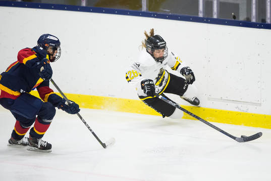 s Hanna Westerlund